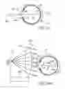 Fig. 09 - Mask configured to maintain nutrient transport without producing visible diffraction patterns