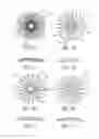 Fig. 06 - Mask configured to maintain nutrient transport without producing visible diffraction patterns