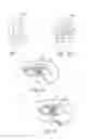 Fig. 08 - Mask configured to maintain nutrient transport without producing visible diffraction patterns