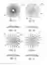 Fig. 06 - Mask configured to maintain nutrient transport without producing visible diffraction patterns