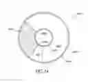 Fig. 31 - Mask configured to maintain nutrient transport without producing visible diffraction patterns