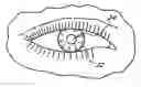 Fig. 01 - Method of making an ocular implant