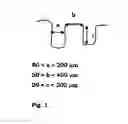 Fig. 02 - Coated implant system with improved adhesion of coating