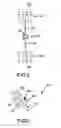 Fig. 05 - Facet replacement