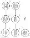 Fig. 03 - Method of manufacturing a multiple component device