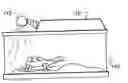 Fig. 01 - Cyclical, aquarium and terrarium light