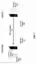 Fig. 02 - Enhancing the intelligibility of received speech in a noisy environment