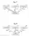 Fig. 09 - Distributed object identity in a virtual machine cluster