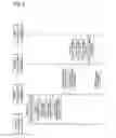 Fig. 04 - Electronic commerce method over wireline/wireless network environments
