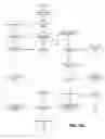 Fig. 04 - Computer-based method for automatic remote coding of debtor credit databases with bankruptcy filing information