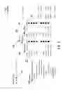 Fig. 05 - Dimension member sliding in online analytical processing
