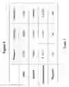 Fig. 07 - Thread identification and classification