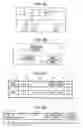 Fig. 05 - Wireless IP telephone system
