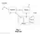 Fig. 02 - Systems and methods for domain name registration by proxy