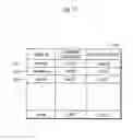 Fig. 18 - Password change system