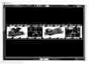 Fig. 14 - Custom wallpaper border