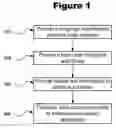 Fig. 02 - Protecting software from unauthorized use by converting source code modules to byte codes