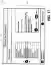 Fig. 18 - Availability and expiration reminders for rentable media