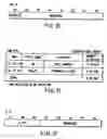 Fig. 31 - Information recording method, information recording medium, and information reproducing method, wherein information is stored on a data recording portion and a management information recording portion