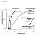 Fig. 08 - Millisecond activation switch for seven-transmembrane proteins