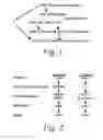 Fig. 02 - Methods of identifying longevity modulators and therapeutic methods of use thereof