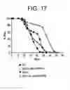 Fig. 23 - Methods of identifying longevity modulators and therapeutic methods of use thereof