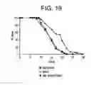 Fig. 25 - Methods of identifying longevity modulators and therapeutic methods of use thereof
