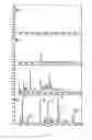 Fig. 06 - Transgenic rice line producing high level of flavonoids in the endosperm