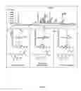 Fig. 07 - Transgenic rice line producing high level of flavonoids in the endosperm