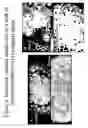 Fig. 05 - Methods for improving crop plant architecture and yield
