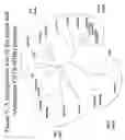 Fig. 10 - Methods for improving crop plant architecture and yield