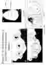 Fig. 13 - Methods for improving crop plant architecture and yield