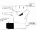 Fig. 01 - Article of manufacture, more specifically, a basketball training glove