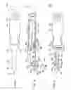 Fig. 05 - Food peeler
