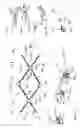 Fig. 03 - Cell design for a trawl system and methods