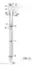 Fig. 14 - Adjustable float tree