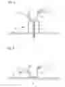 Fig. 03 - Complex system of vegetation and solar cell