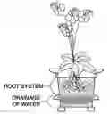 Fig. 01 - Easy tilt and drain flower pot (