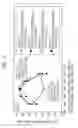 Fig. 06 - Exhaust gas purification device for internal combustion engine
