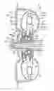Fig. 01 - Fluid coupling