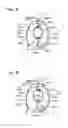 Fig. 08 - Fluid coupling