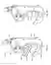 Fig. 04 - Methods and apparatus for controlling flare in roll-forming processes