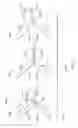 Fig. 09 - Methods and apparatus for controlling flare in roll-forming processes