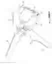 Fig. 04 - Crimping tool