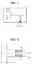 Fig. 02 - Detecting element and detection method