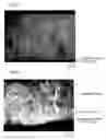 Fig. 02 - Method for producing rare earth based alloy powder and method for producing rare earth based sintered magnet