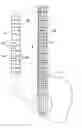 Fig. 01 - Apparatus for learning to play a stringed instrument