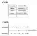 Fig. 07 - Content distributing server, content distributing method, and content distributing program