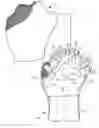 Fig. 01 - Therapeutic apparatus and method for animal