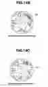 Fig. 12 - Compression ignition engine